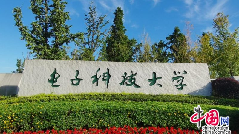 电子元器件代理加盟：技术支持的四大关键要素**